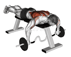 Cambered Bar Lying Row demonstration