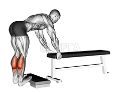 Donkey Calf Raise demonstration