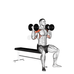 Dumbbell Arnold Press demonstration