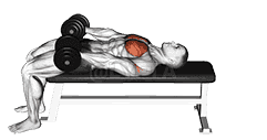 Dumbbell Around Pullover demonstration