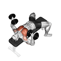 Dumbbell Bench Press demonstration