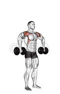 Dumbbell Cuban Press demonstration