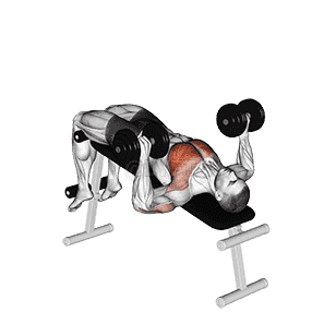 Dumbbell Decline Bench Press demonstration