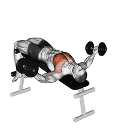 Dumbbell Decline Twist Fly demonstration