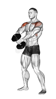 Dumbbell Front Raise demonstration