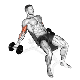 Dumbbell Incline Inner Biceps Curl demonstration