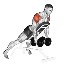 Dumbbell Incline Rear Lateral Raise demonstration