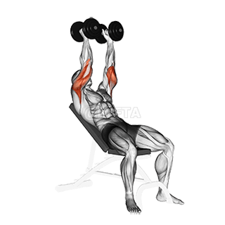 Dumbbell Incline Triceps Extension demonstration