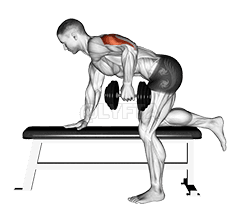Dumbbell Kickback demonstration