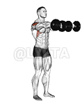 Dumbbell Lateral to Front Raise demonstration