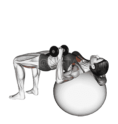 Dumbbell One Arm Press demonstration