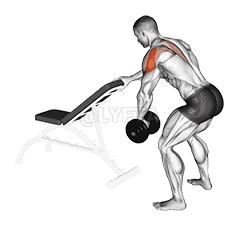 Dumbbell One Arm Reverse Fly demonstration