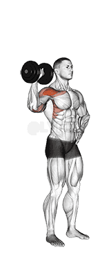 Dumbbell One Arm Shoulder Press demonstration