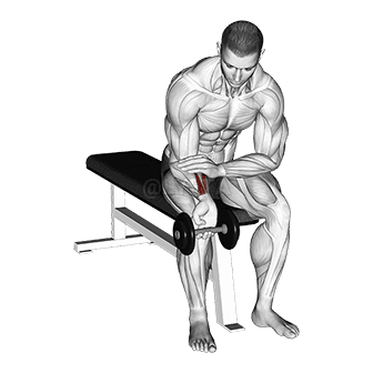 Dumbbell One arm Wrist Curl demonstration