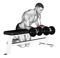 Dumbbell Over Bench Revers Wrist Curl demonstration