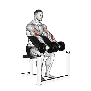Dumbbell Reverse Preacher Curl demonstration