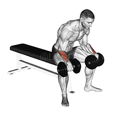 Dumbbell Reverse Wrist Curl demonstration