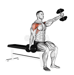 Dumbbell Seated Alternate Front Raise demonstration