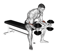 Seated Neutral Wrist Curl demonstration