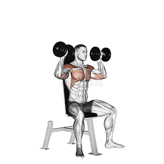 Dumbbell Seated Shoulder Press demonstration