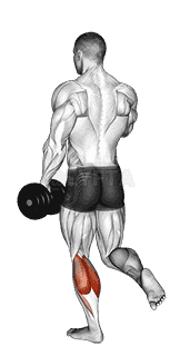 Dumbbell Single Leg Calf Raise demonstration