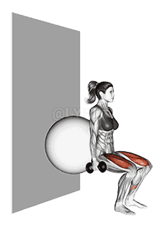 Dumbbell Squat demonstration