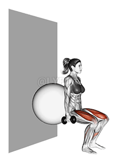 Dumbbell Squat demonstration