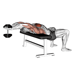 Dumbbell Straight Arm Pullover demonstration