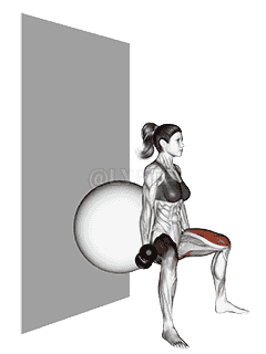 Dumbbell Sumo Squat demonstration
