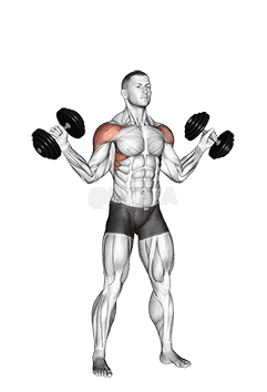 Dumbbell W-press demonstration