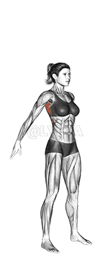 Dynamic Back Stretch demonstration