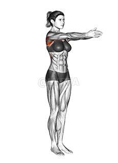 Dynamic Chest Stretch demonstration