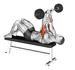 EZ Barbell Decline Close grip Face Press demonstration