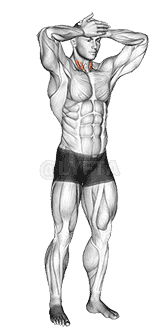 Front and Back Neck Stretch demonstration