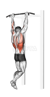 Gironda Sternum Chin demonstration