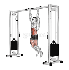 Hanging Straight Leg Hip Raise demonstration
