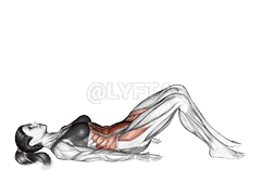 Hip Crunch demonstration