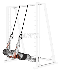Inverted Row with Straps demonstration