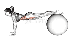 Jack knife on Ball demonstration