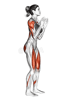 Jump Lunge To Feet Jack demonstration
