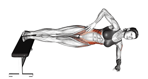 Leg Bench Side Bridge demonstration