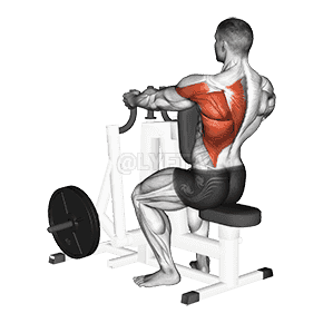 Lever Single Arm Neutral Grip Seated Row demonstration