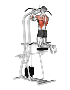 Lever Assisted Chin-Up demonstration
