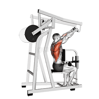 Lever High Row demonstration