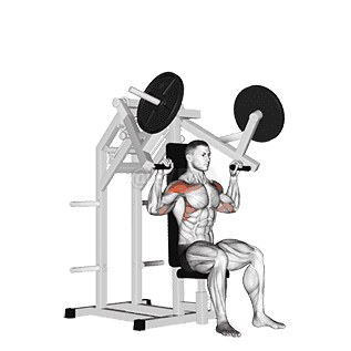 Lever Military Press demonstration