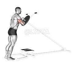 Lever One Arm Shoulder Press demonstration