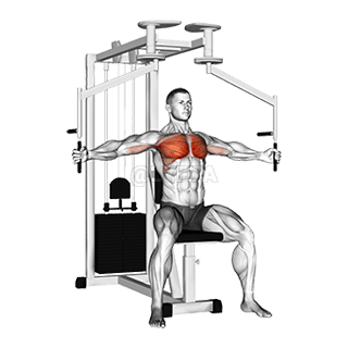 Lever Seated Fly demonstration