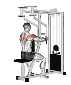 Lever Seated Reverse Fly demonstration