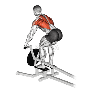 Lever T bar Row demonstration