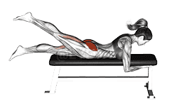 Lying Alternate Hip Extension demonstration